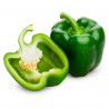 Pimentón verde/ Kilo