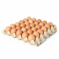 Cartón de huevos AA