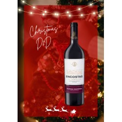 Vino Tinto ENCOSTAS 1 LT