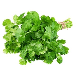 Cilantro Empacado