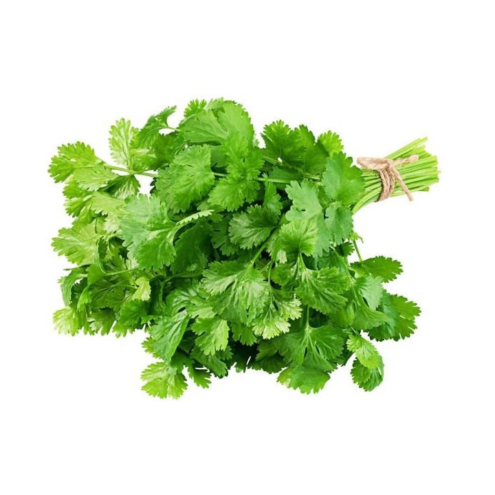 Cilantro Empacado