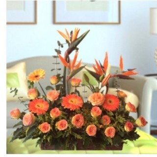 Ramo Gerberas, Rosas y aves del paraiso