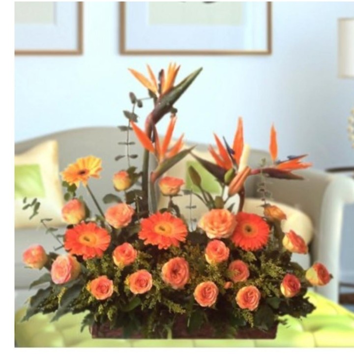 Ramo Gerberas, Rosas y aves del paraiso