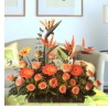 Ramo Gerberas, Rosas y aves del paraiso