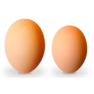 Huevos GRANDES (Medio Cartón)