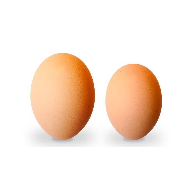 Huevos GRANDES (Medio Cartón)