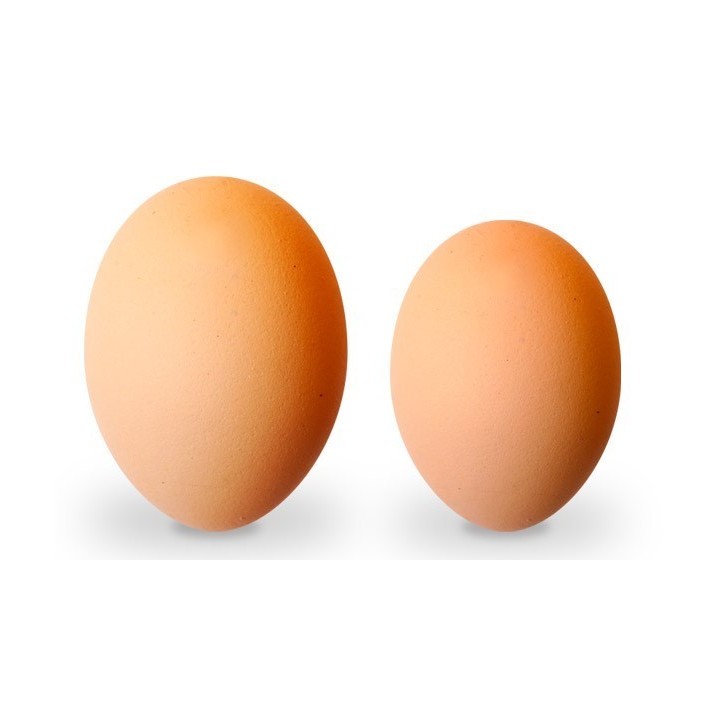 Huevos GRANDES (Medio Cartón)