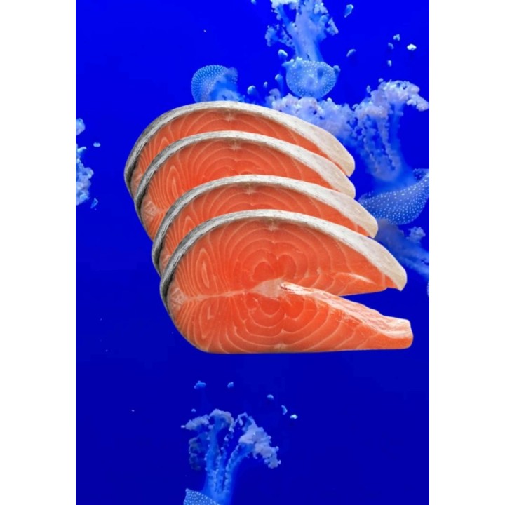 Salmón en filete o Ruedas1 Kg