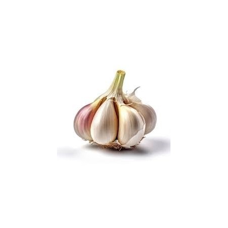 Cabeza de ajo por unidad