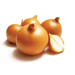 Cebolla de cabeza por kilo