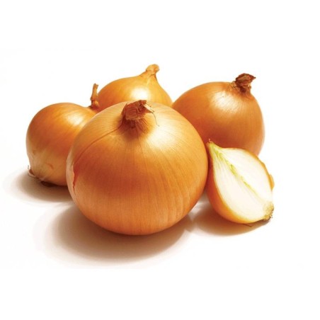 Cebolla de cabeza por kilo
