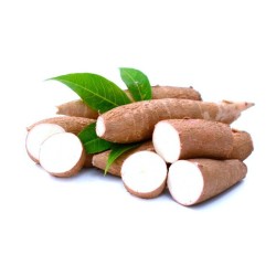 Yuca por Kilo