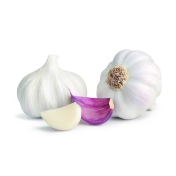 Cabeza de ajo por Kilo