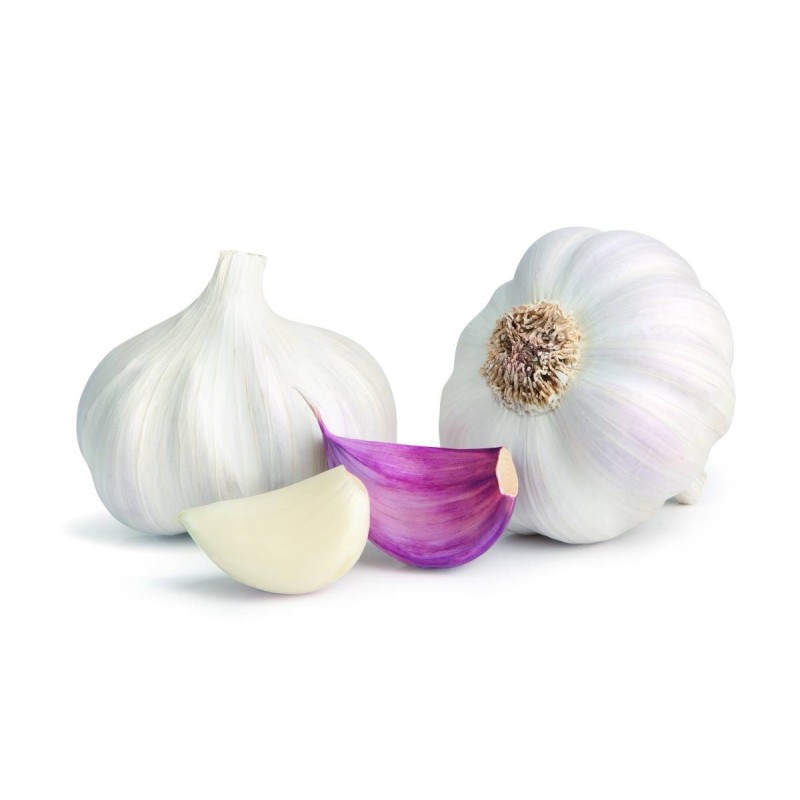 Cabeza de ajo por Kilo