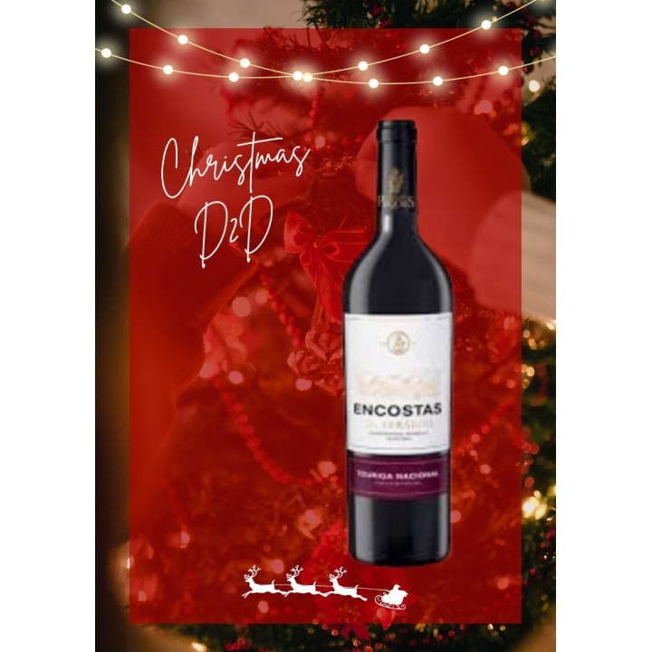 Vino Tinto ENCOSTAS 1 LT
