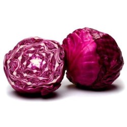 Repollo  Morado