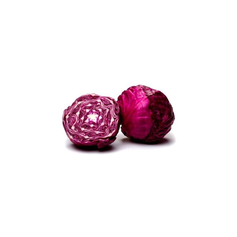 Repollo  Morado
