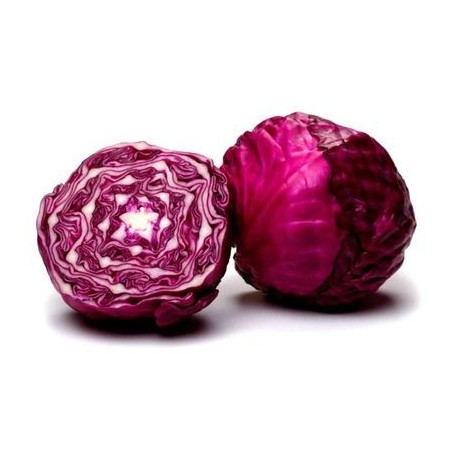 Repollo  Morado