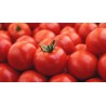Tomates por kilo