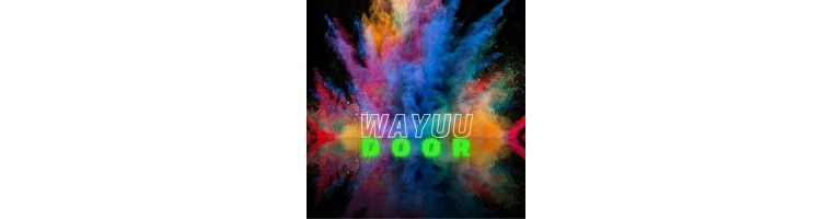 PRODUCTOS WAYUU